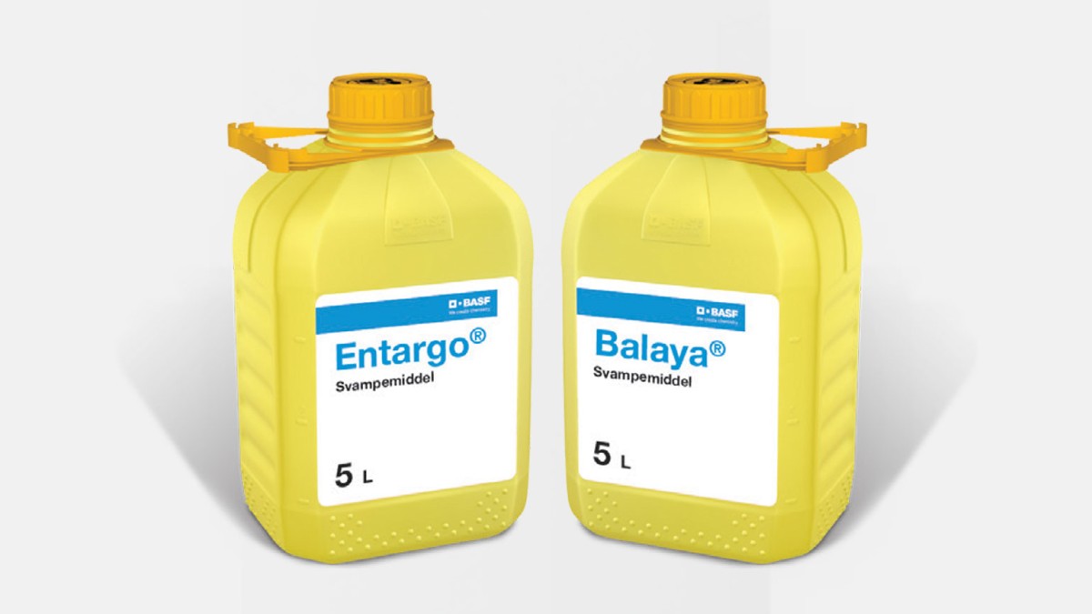 Balaya og Entargo