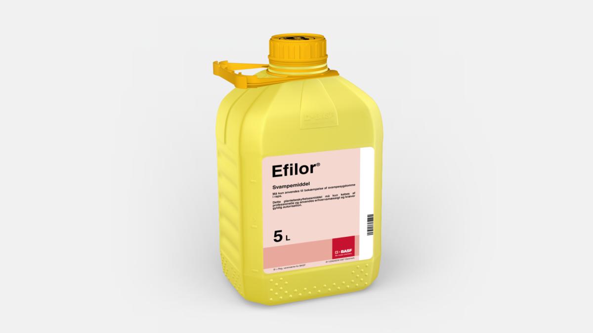Efilor - 58915168