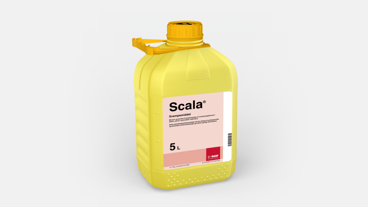 Scala - 58687362