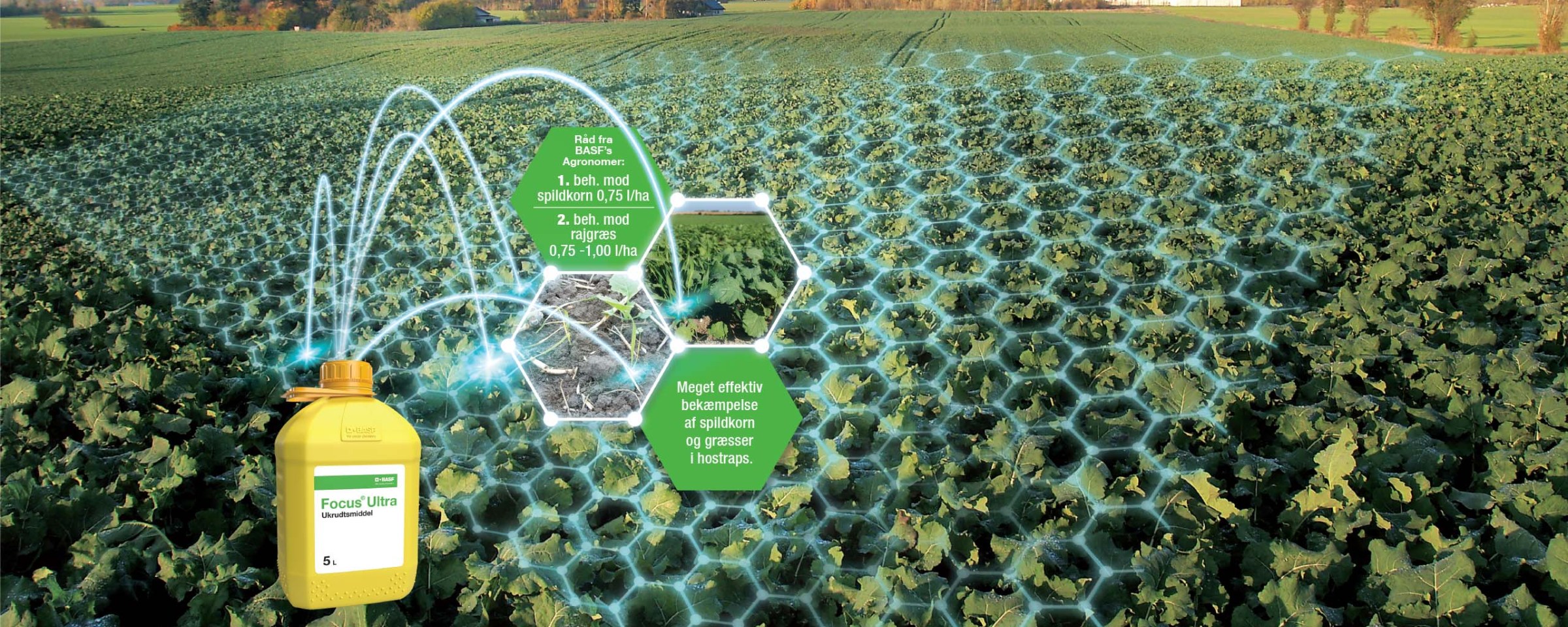 Focus<sup>®</sup> Ultra