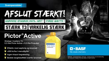 Pictor® Active - Svampemiddel registreret til byg og hvede