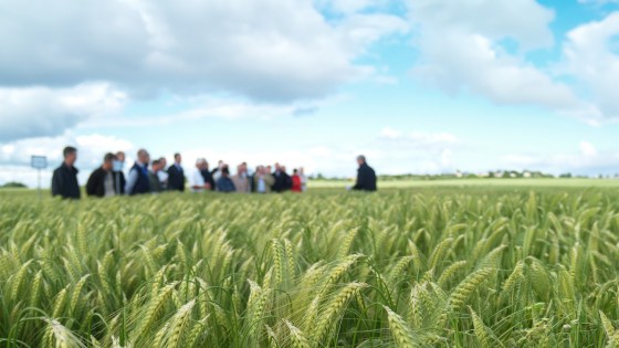 Bliv inviteret med til faglige arrangementer 