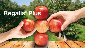 Vækstregulering i æbler og pærer - Regalis® Plus