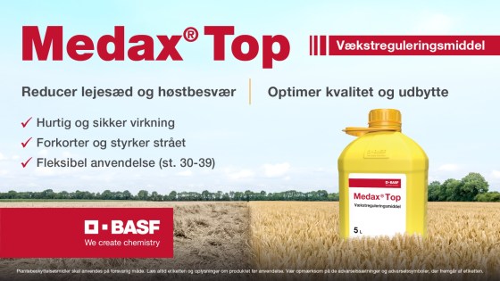 Medax Top