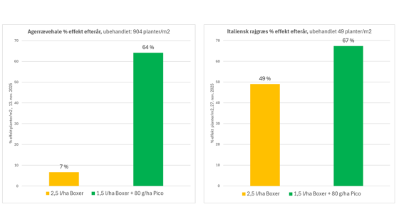 Effekt du kan regne med