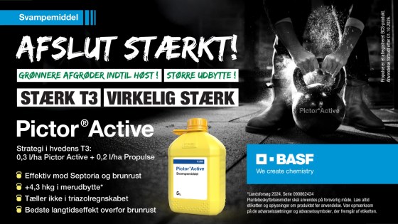 *090862424 Svampebekæmpels*090862424e i vinterhvede - forskellige løsninger ved delt aksbehandling, led 9 versus led 8, hvedepris 160 kr/hkg