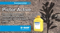 Pictor® Active - Svampemiddel til hestebønner