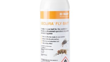 Seclira Fly bait