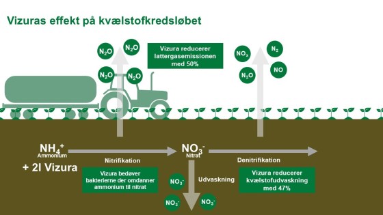 Vizuras effekt på kvælstofskredsløbet